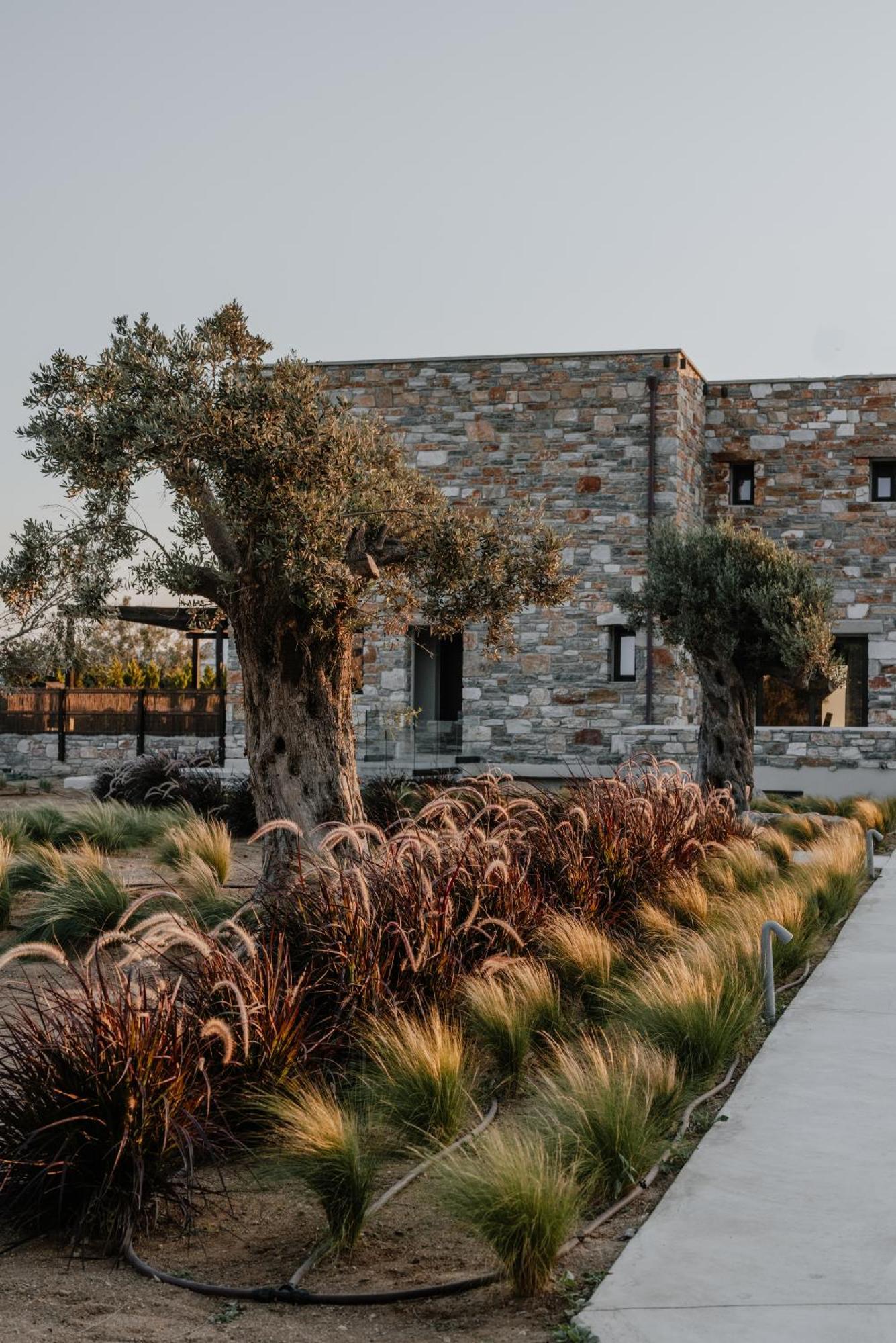 Onym Curated Villas Pláka Exteriör bild